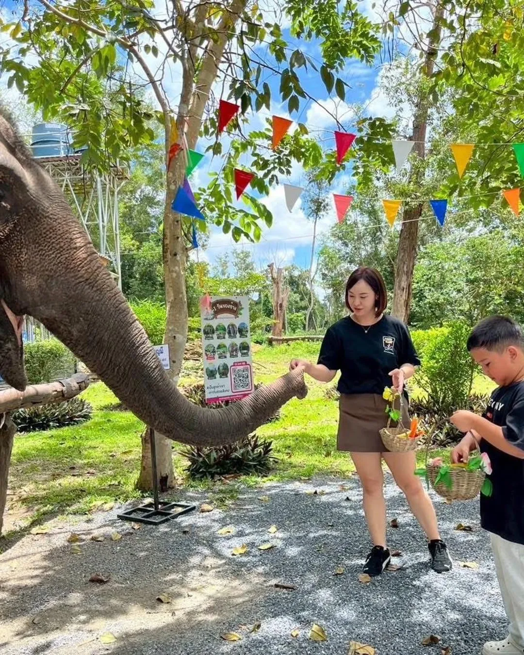 Phuket Elephant Care