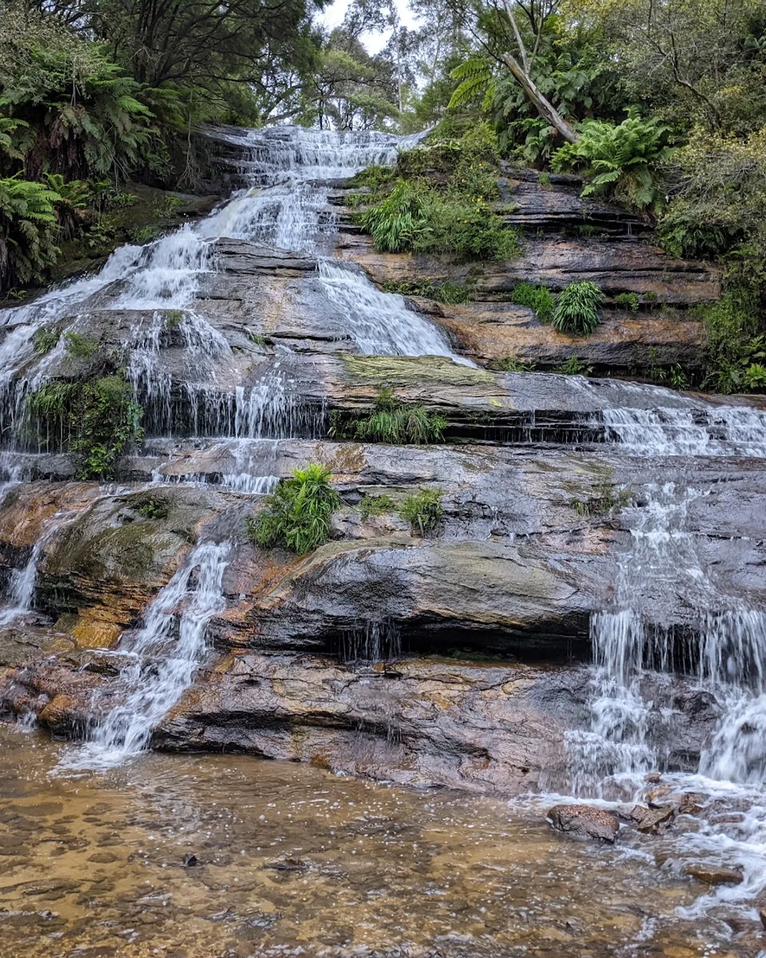 Katoomba Falls Reserve