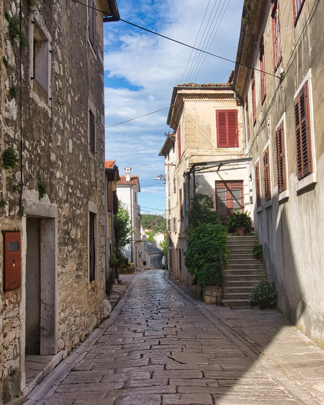 Višnjan
