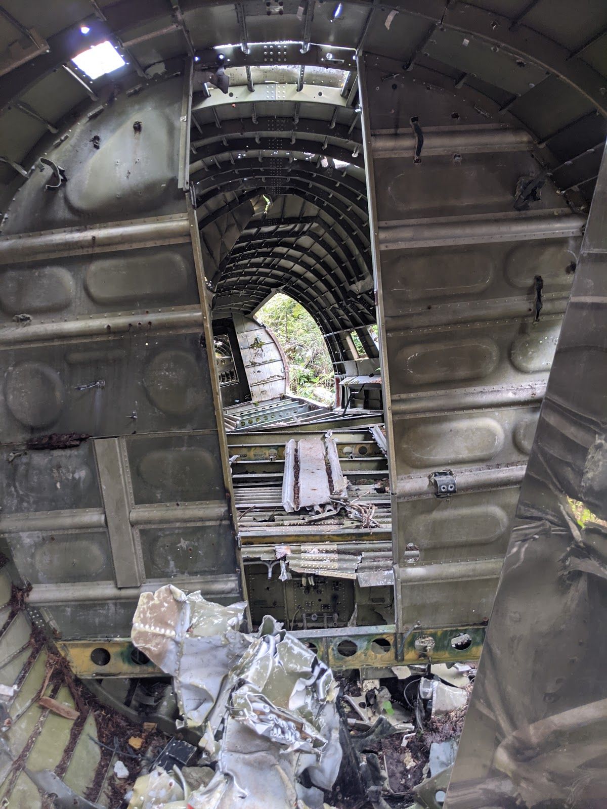 DAMAGEPLAN ツアーピック