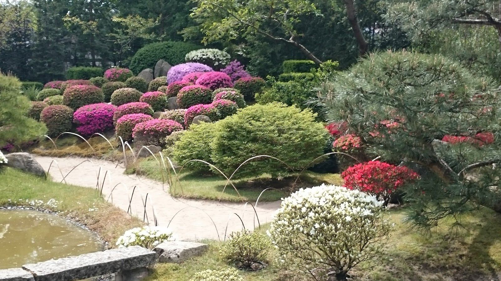 Japanischer Bonsaigarten
