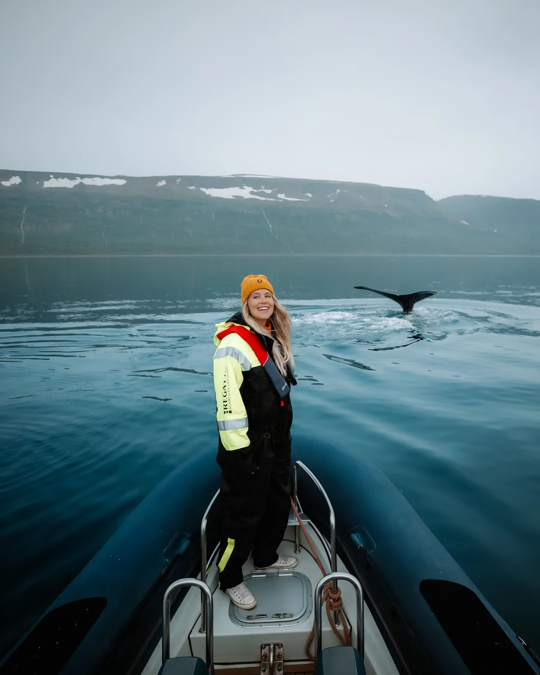 Whale Watching Isafjördur