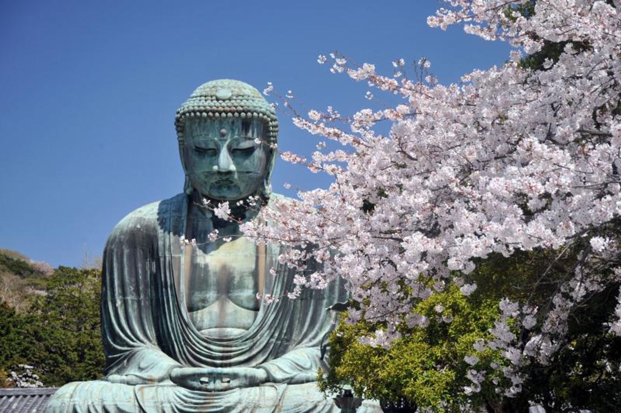 Kamakura Daibutsu - Japan - Rexby