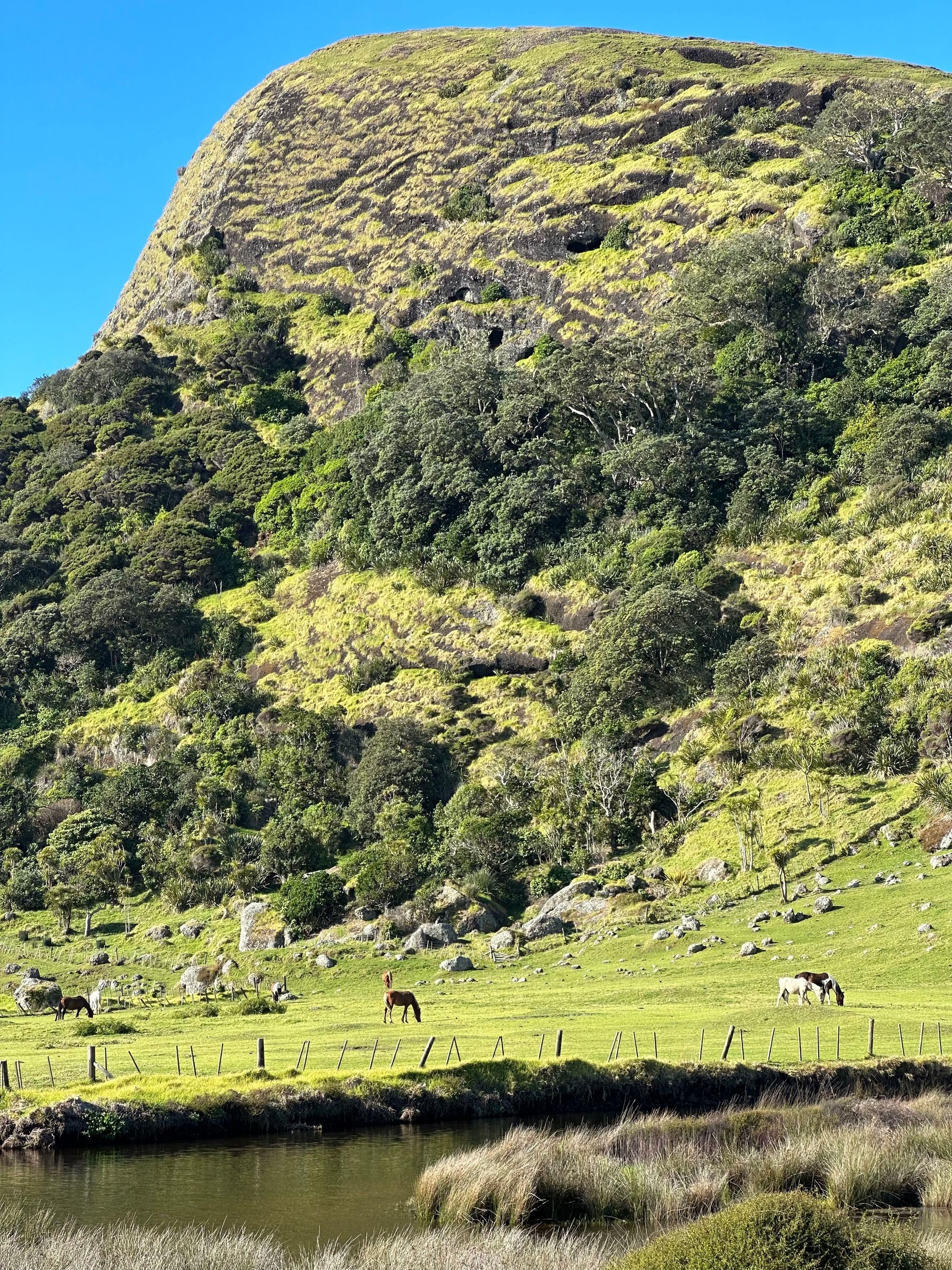 Piwhane / Spirits Bay