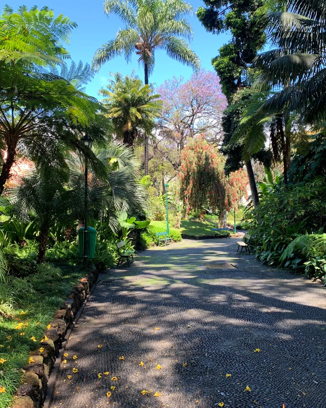 Funchal Municipal Garden