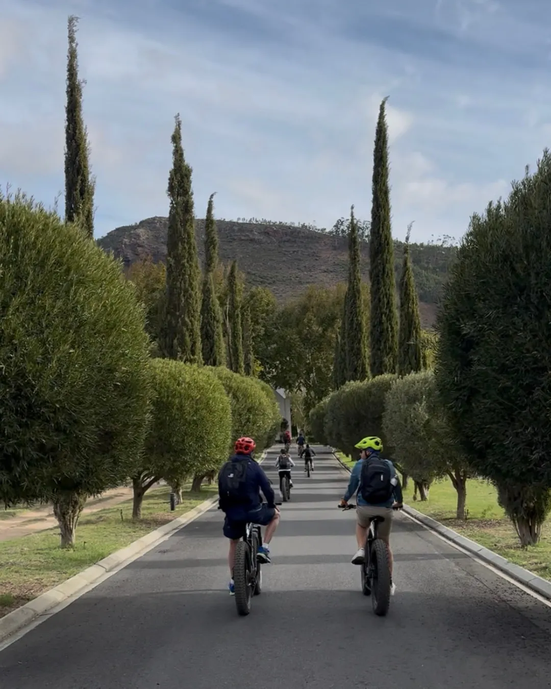 E-Bike through the vineyards on a wine tour