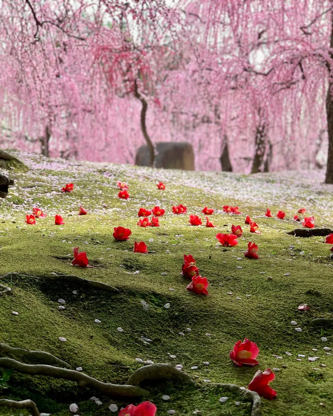 Jōnan-gū