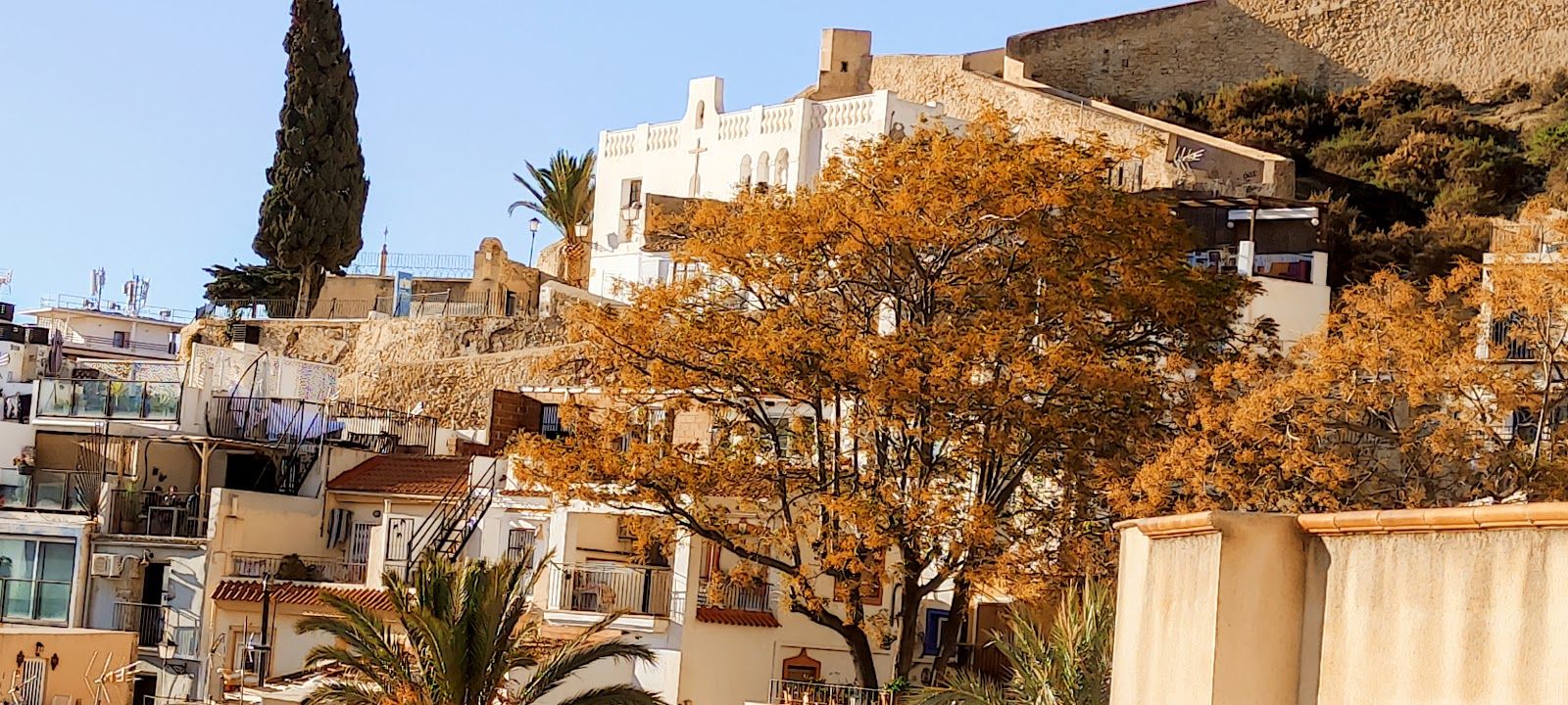 Casco Antiguo-Santa Cruz