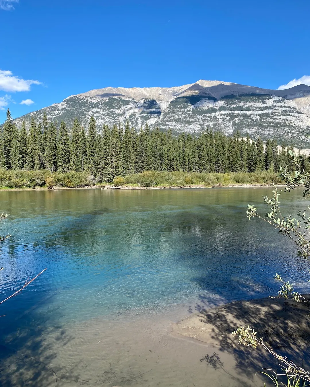 Bow River Campground