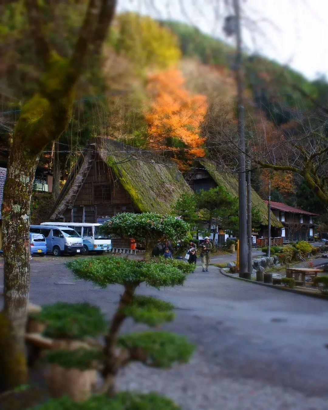 Otaki Limestone Cave - Rural Travels, Japan - Rexby