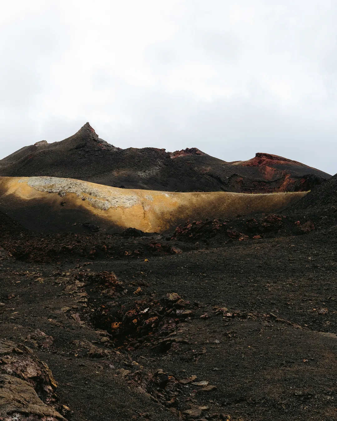 Sierra Negra Volcano