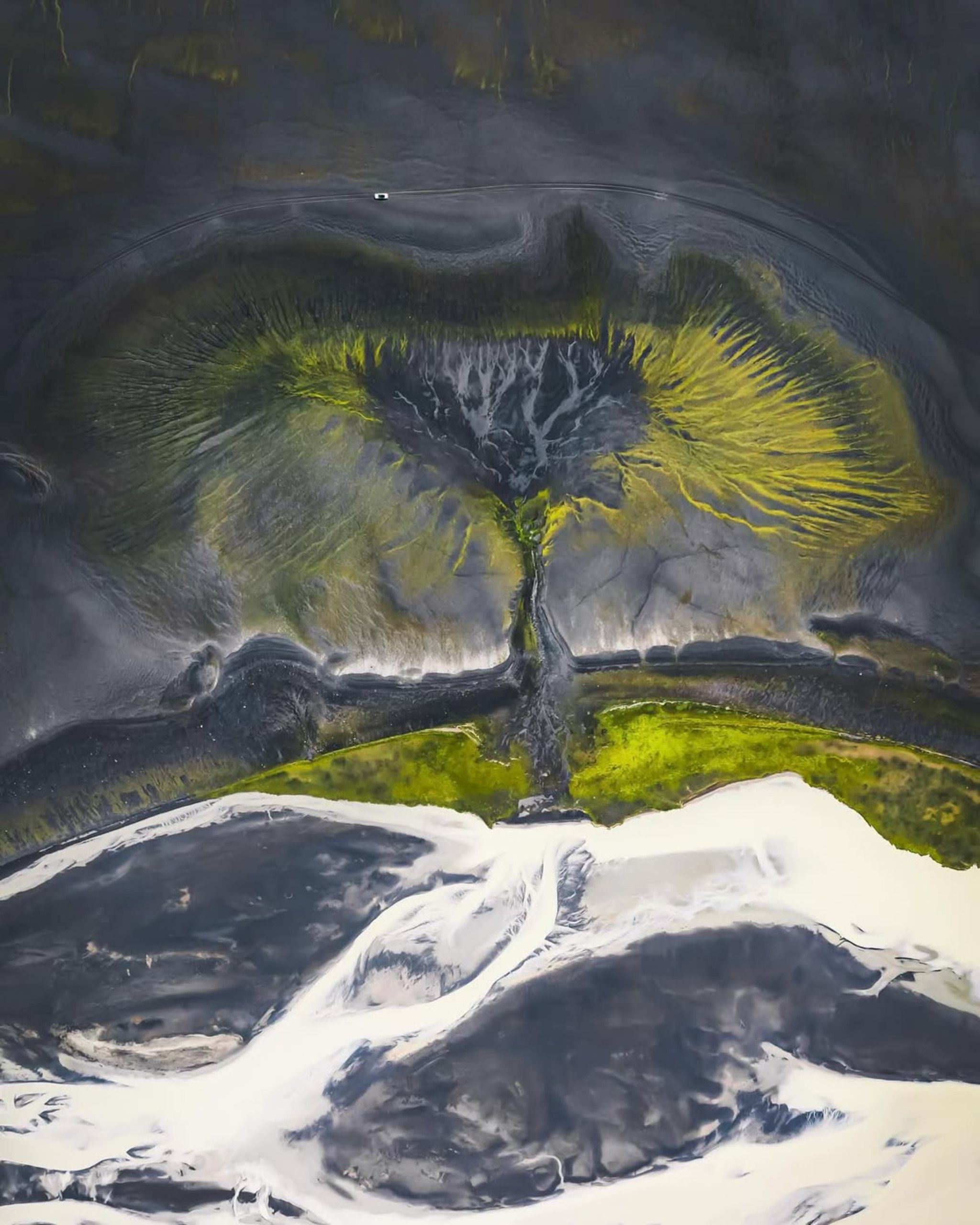 Tree Of Life (Drone spot)