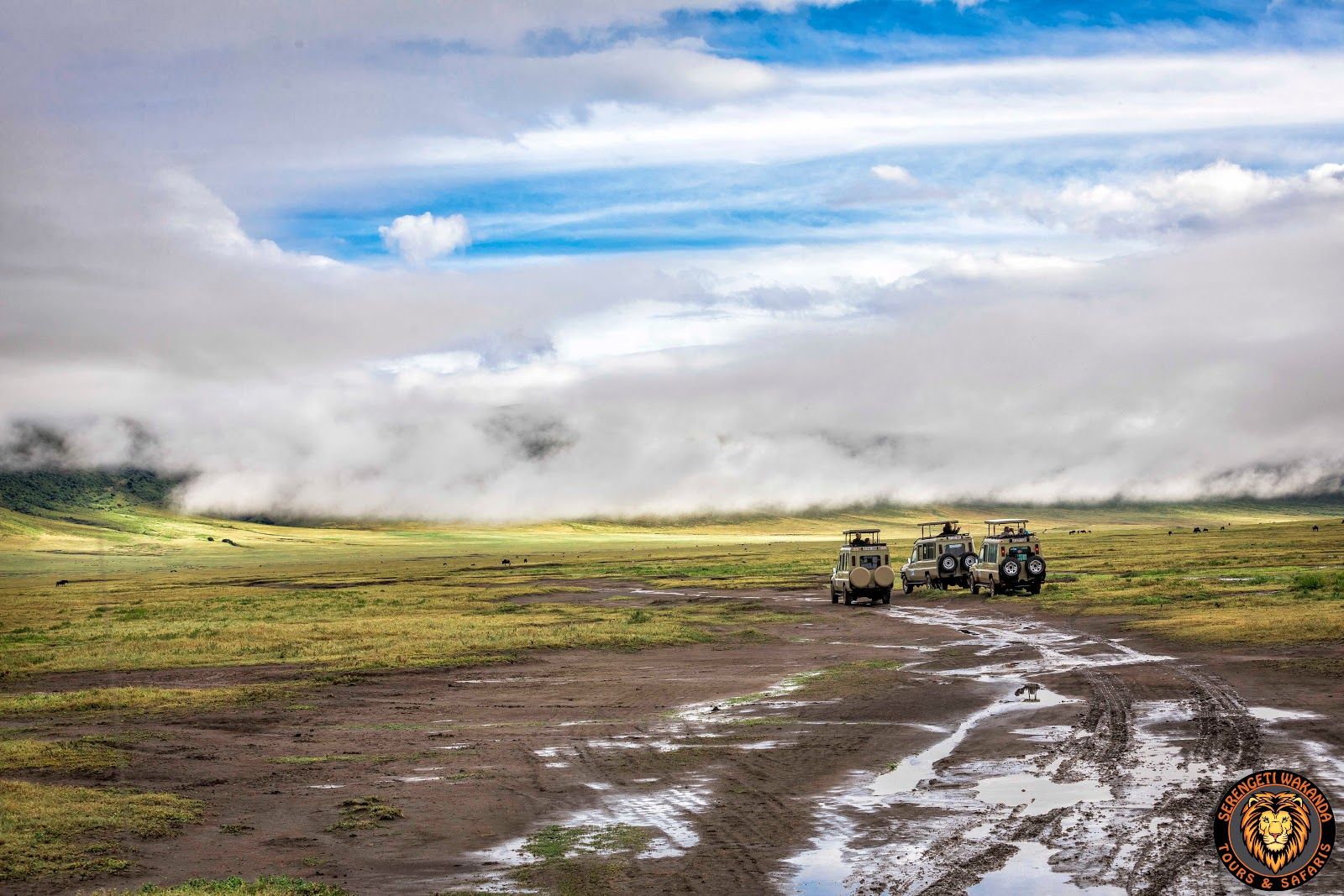 Serengeti Wakanda Tours and Safaris