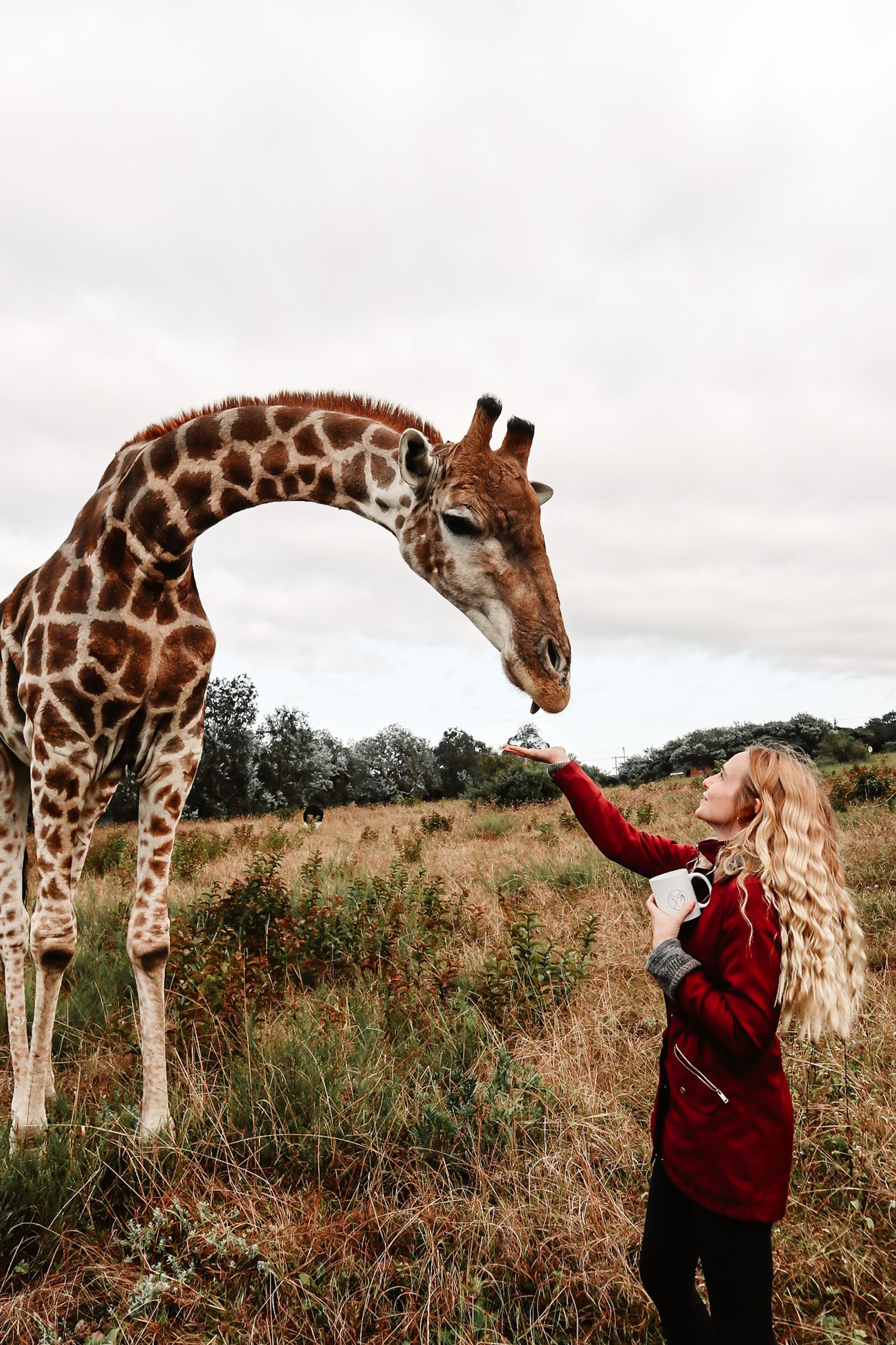 Beautiful nature stay, campsite & wildlife experience