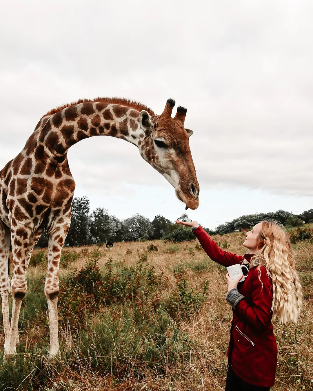 Beautiful nature stay, campsite & wildlife experience