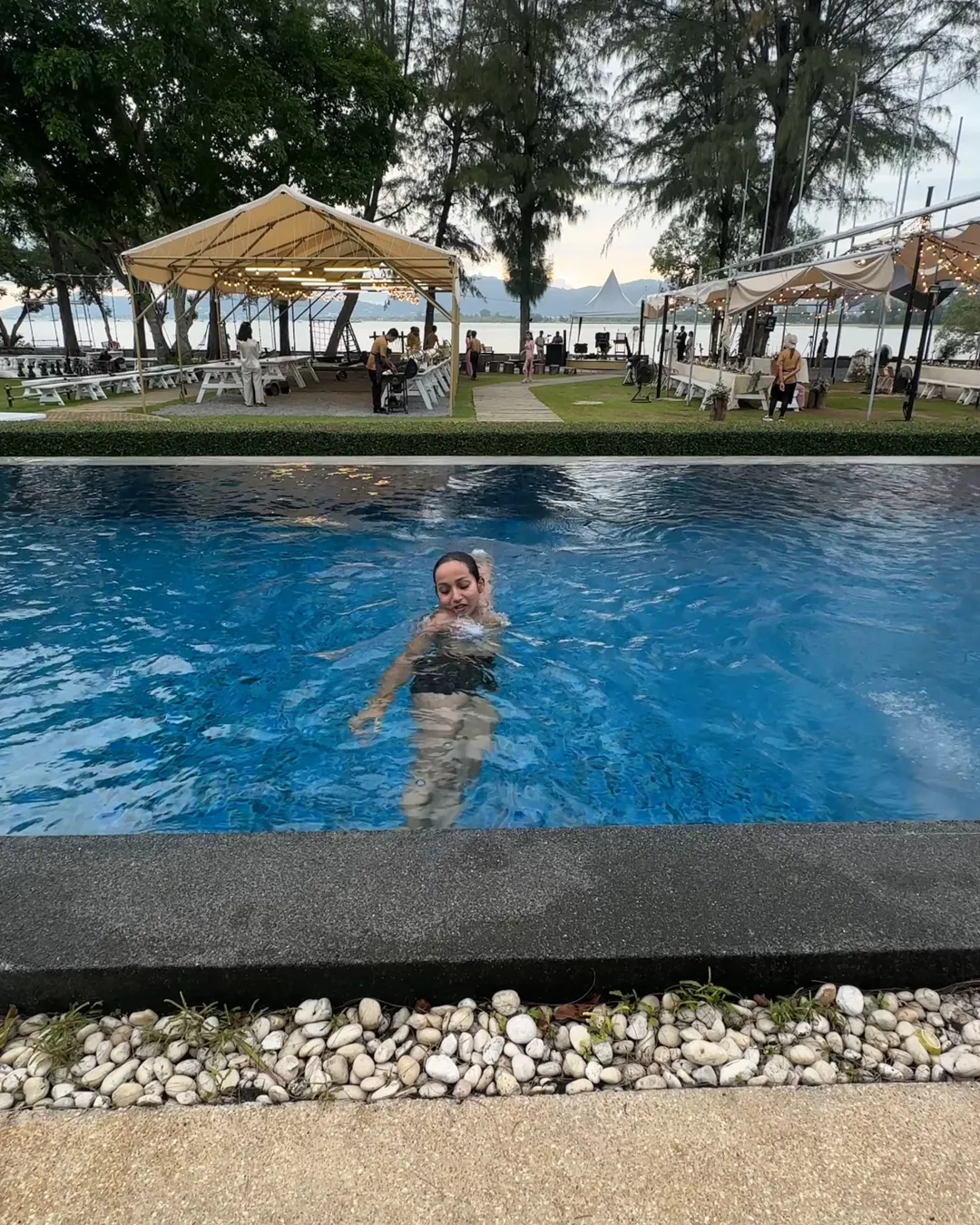 The Mangrove by Blu Monkey