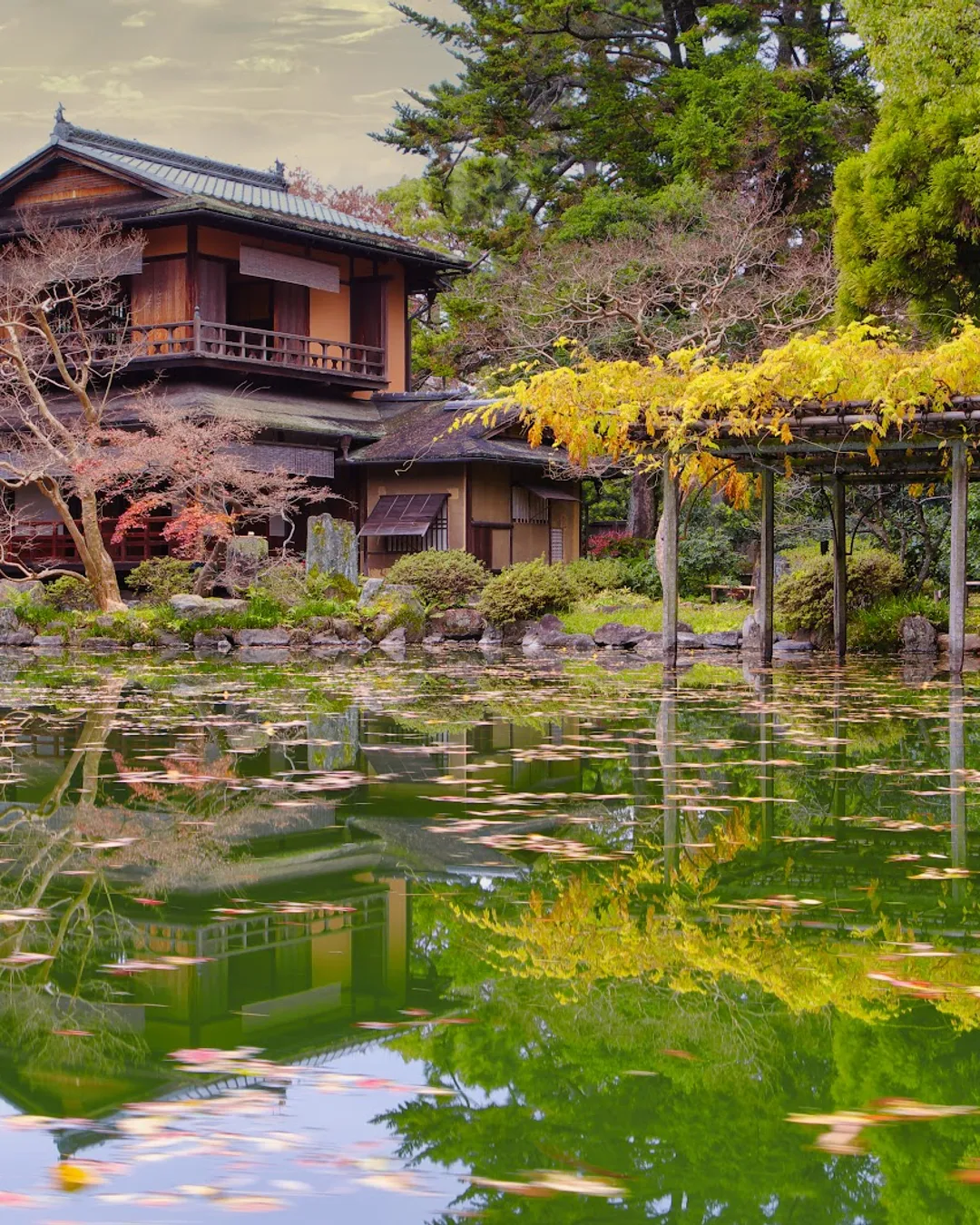 Kyoto Gyoen National Garden