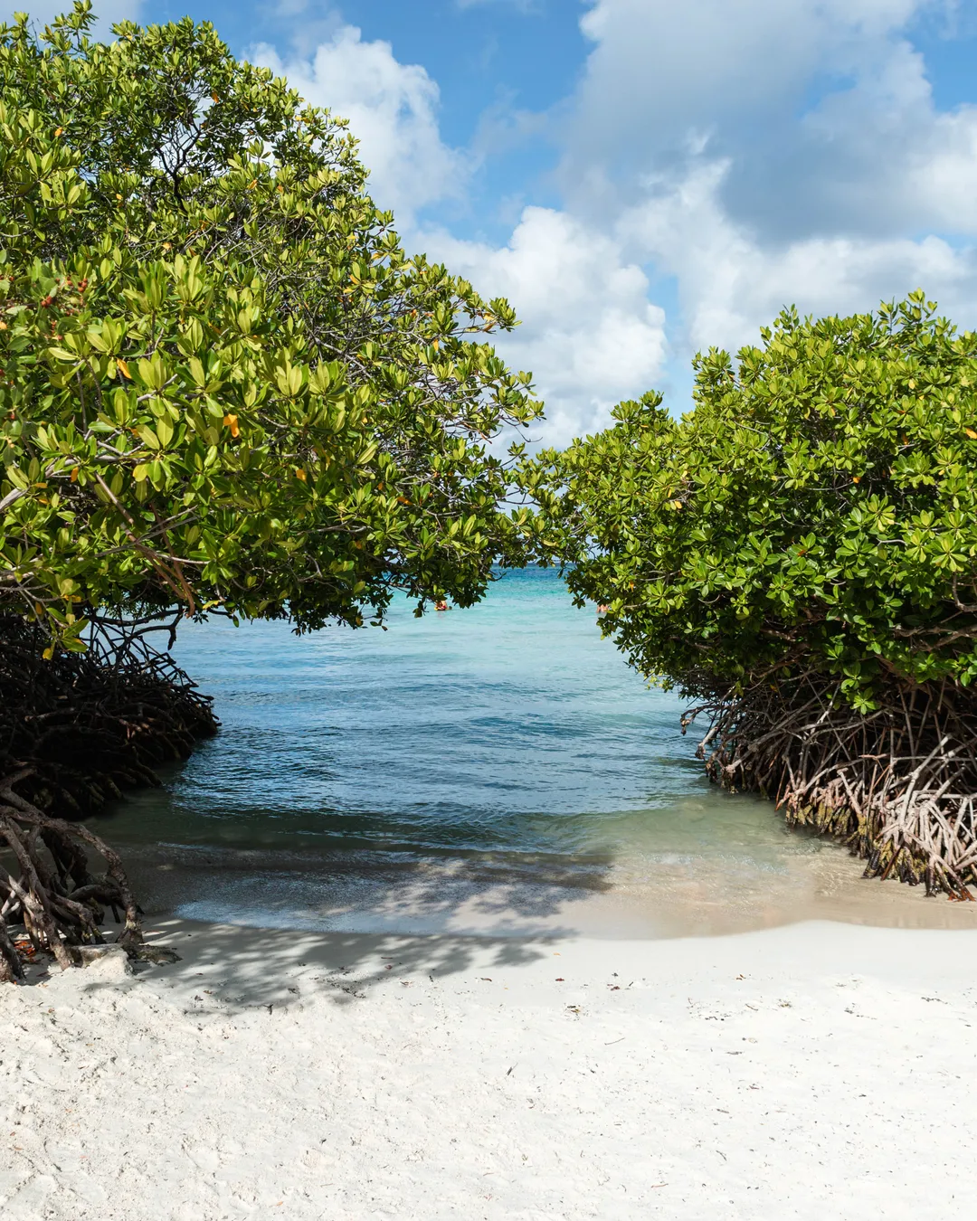 Fins & Feet Nature Tours