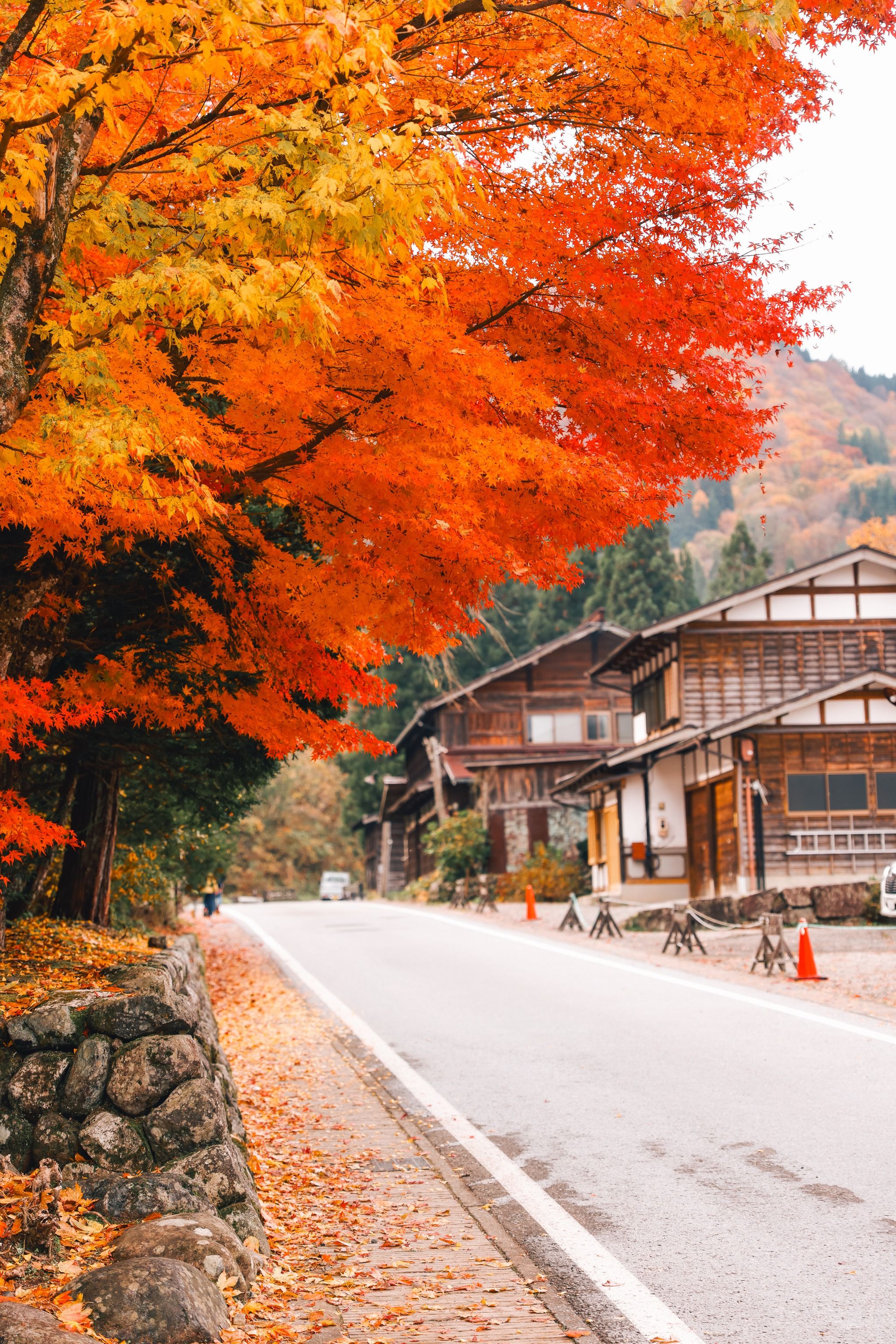 Hachiman Shrine Shirakawa