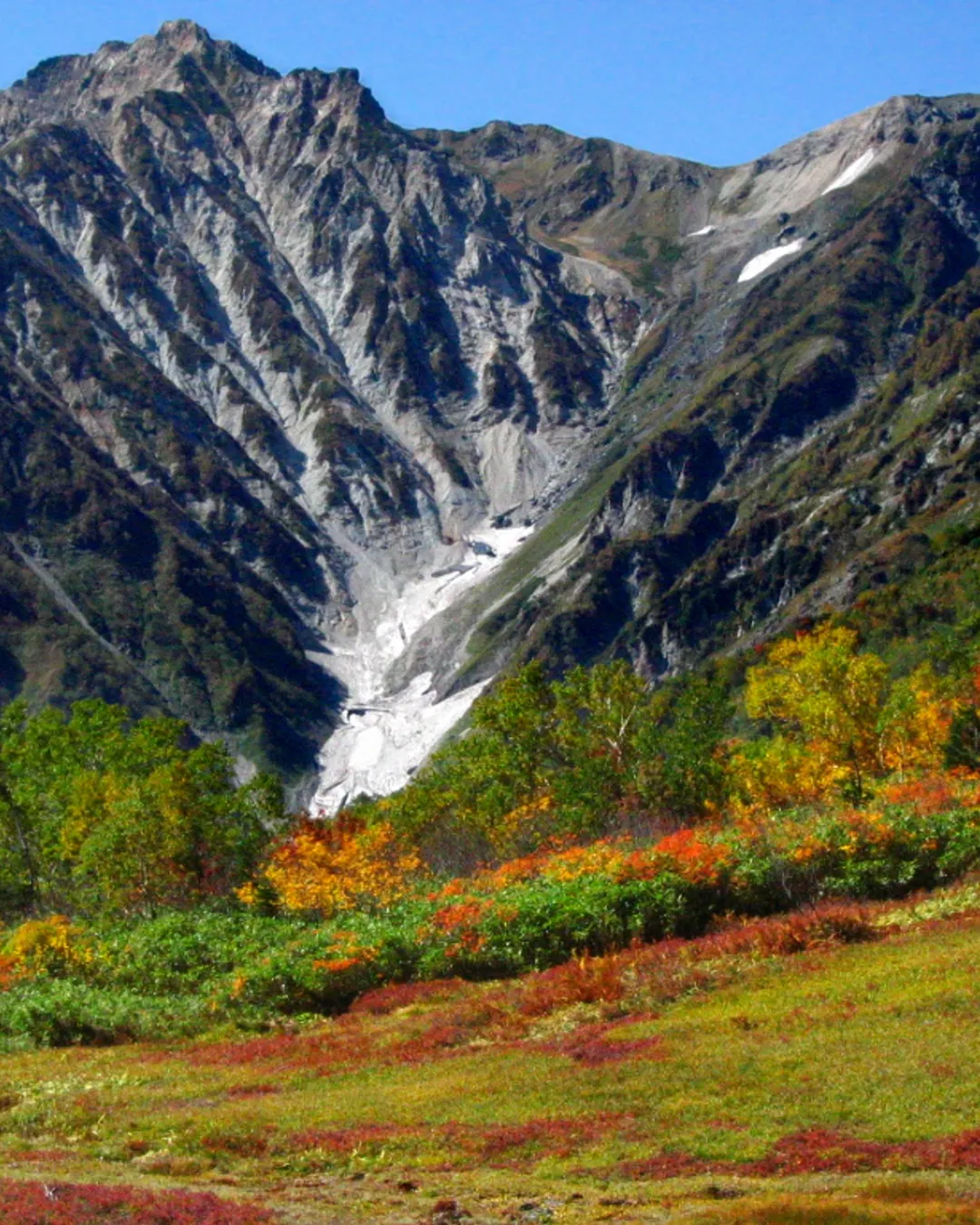 Tsugaike Nature Garden - Rural Travels, Japan - Rexby