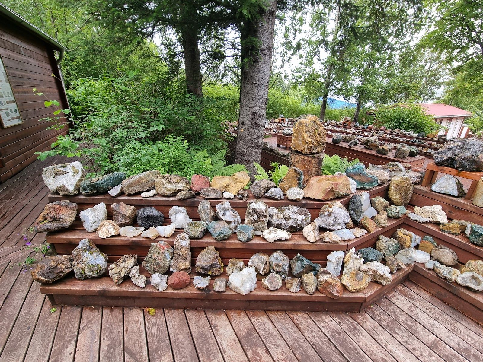 Petra's Stone Collection