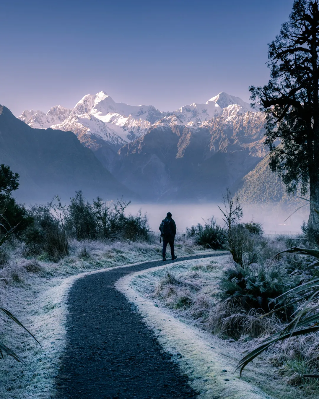 Lake Matheson Walk West Coast