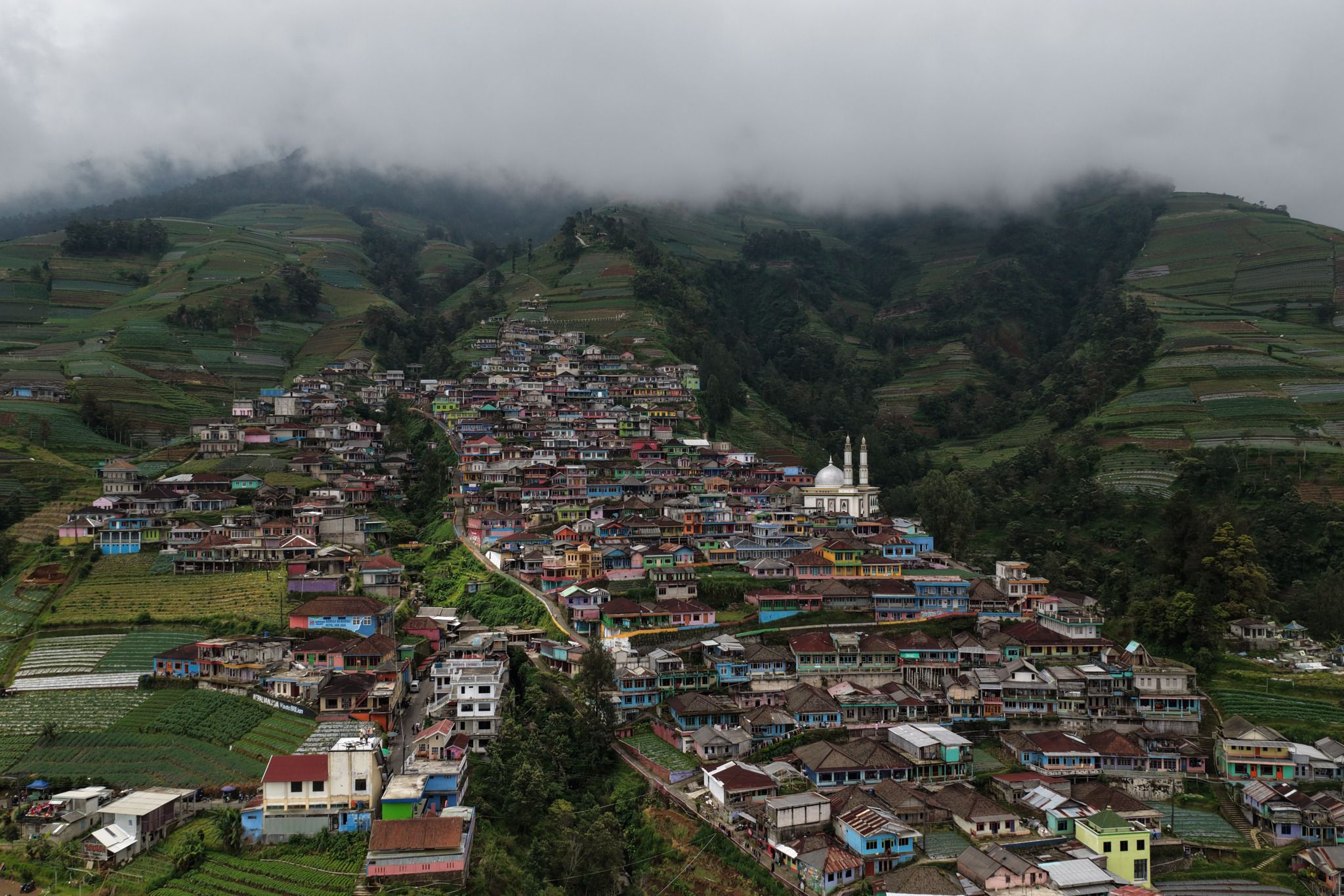 Nepal Van Java