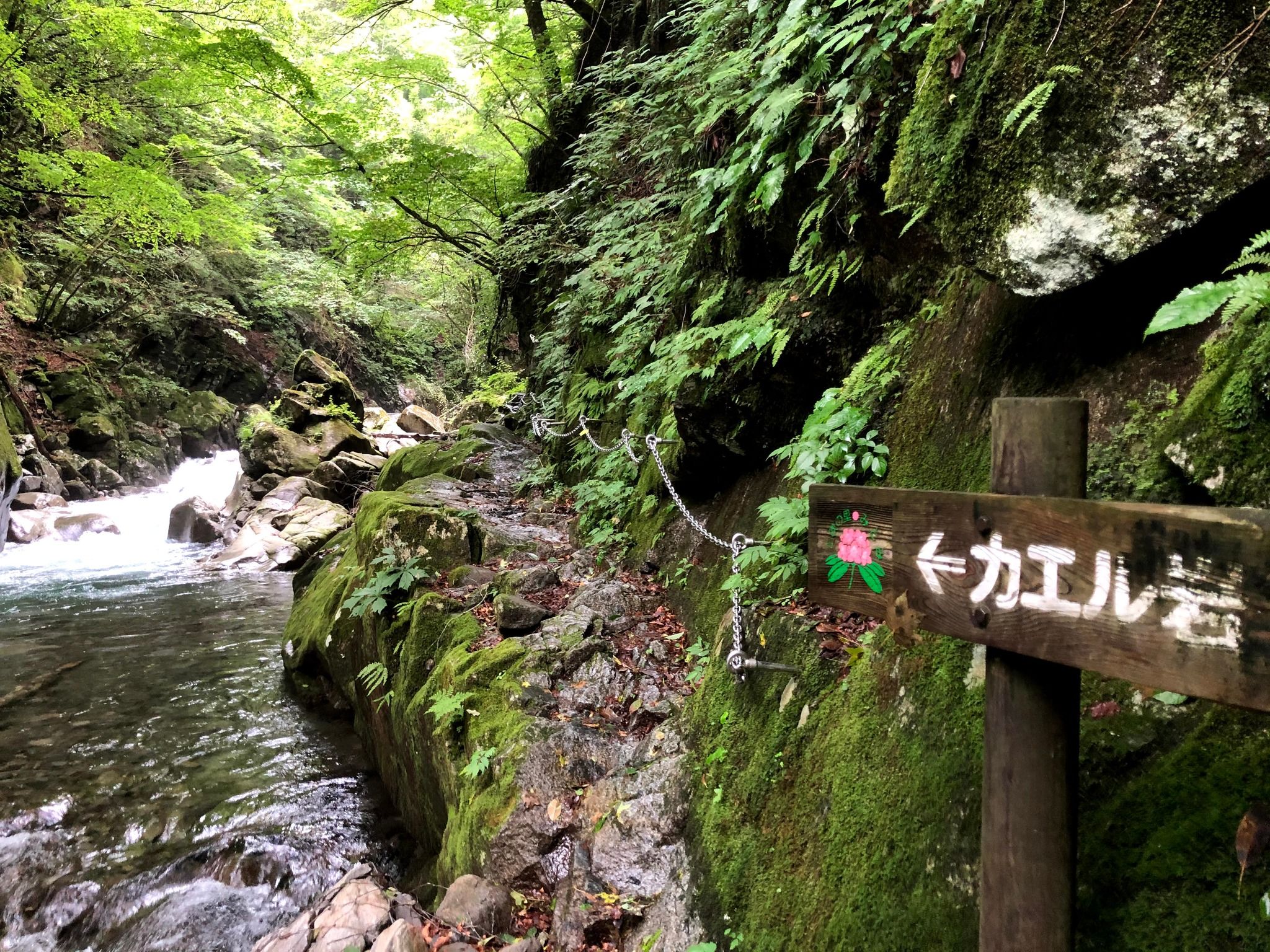 Nishizawa Gorge - Rural Travels, Japan - Rexby