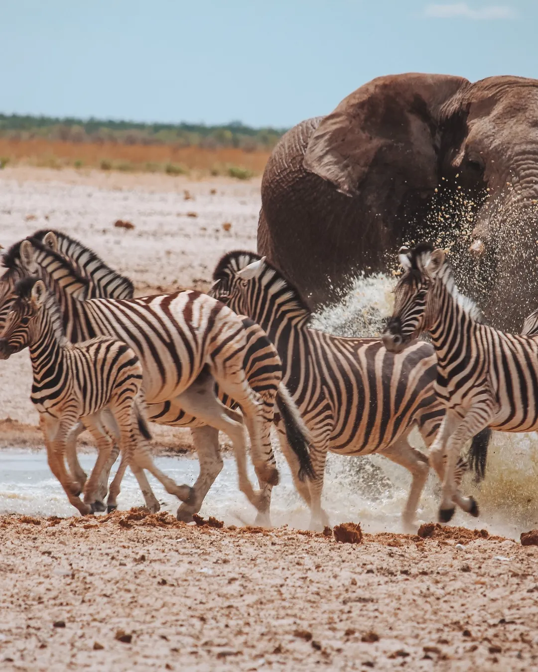 Etosha National Park