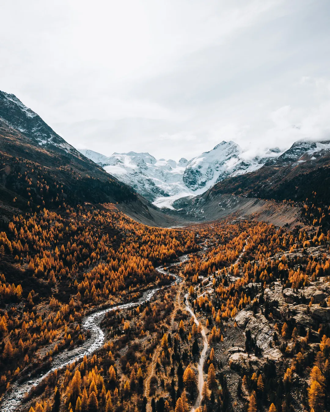 Morteratsch Glacier Valley