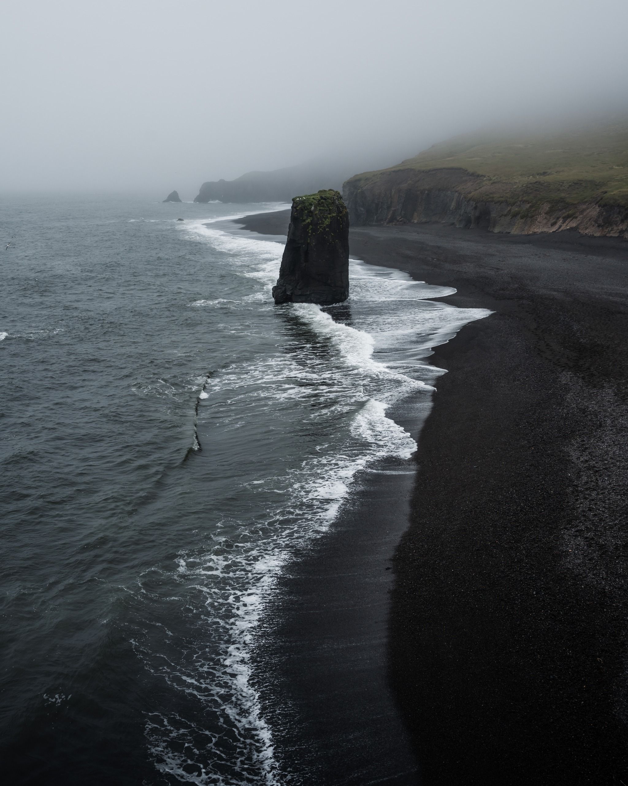 マデイラアイランドブラック。
