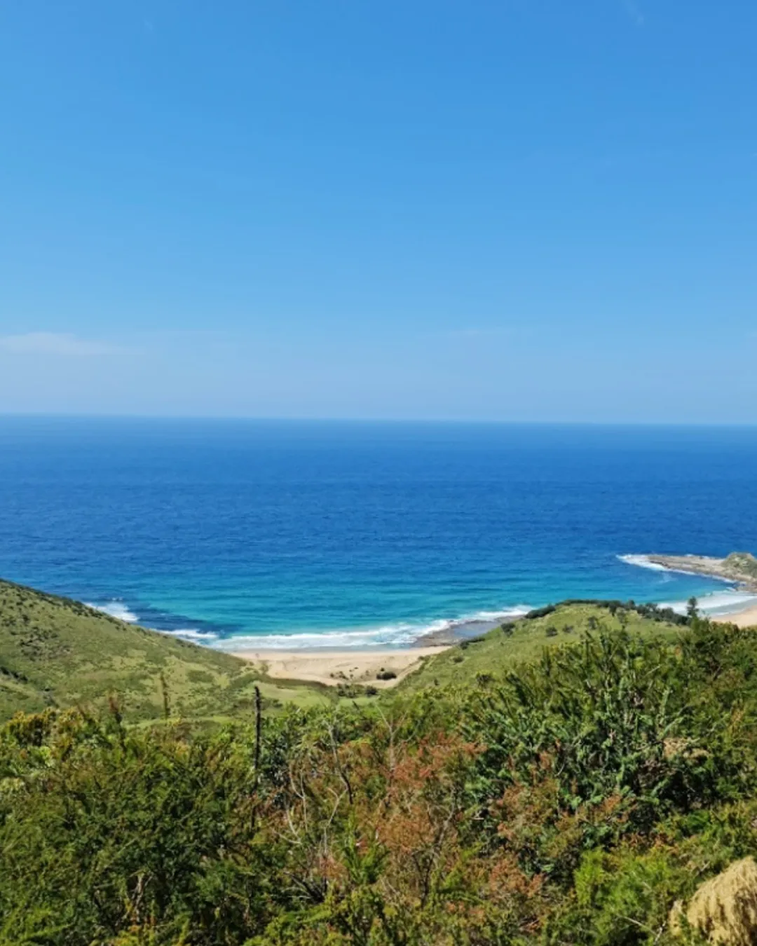 Governor Game Lookout