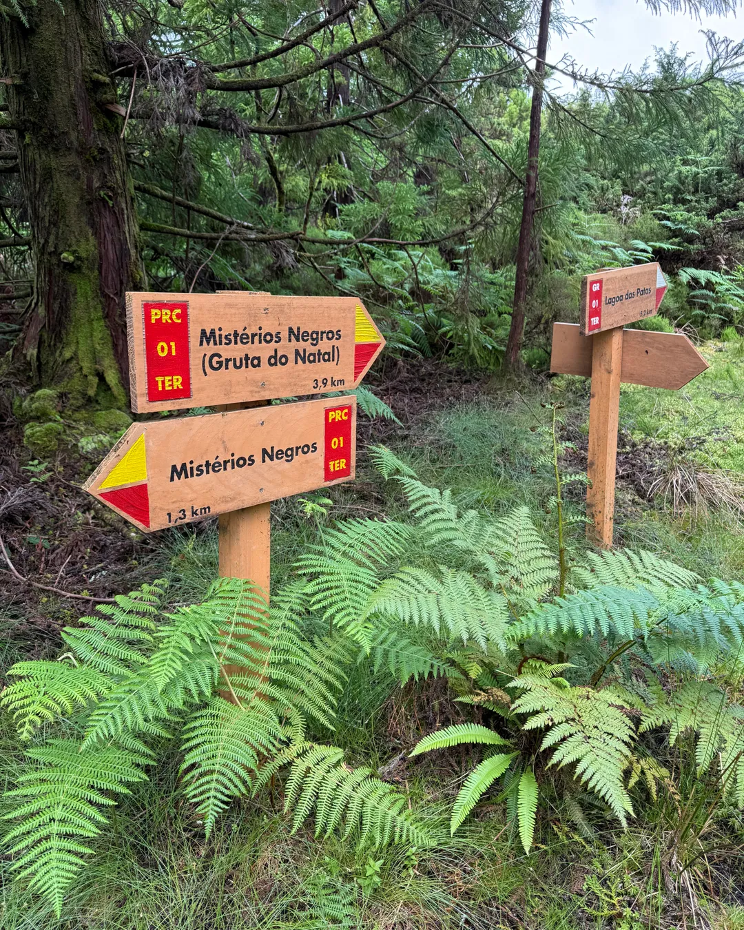 PRC01 TER - Mistérios Negros Trail