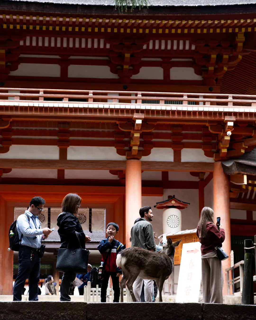 Kasuga-Taisha