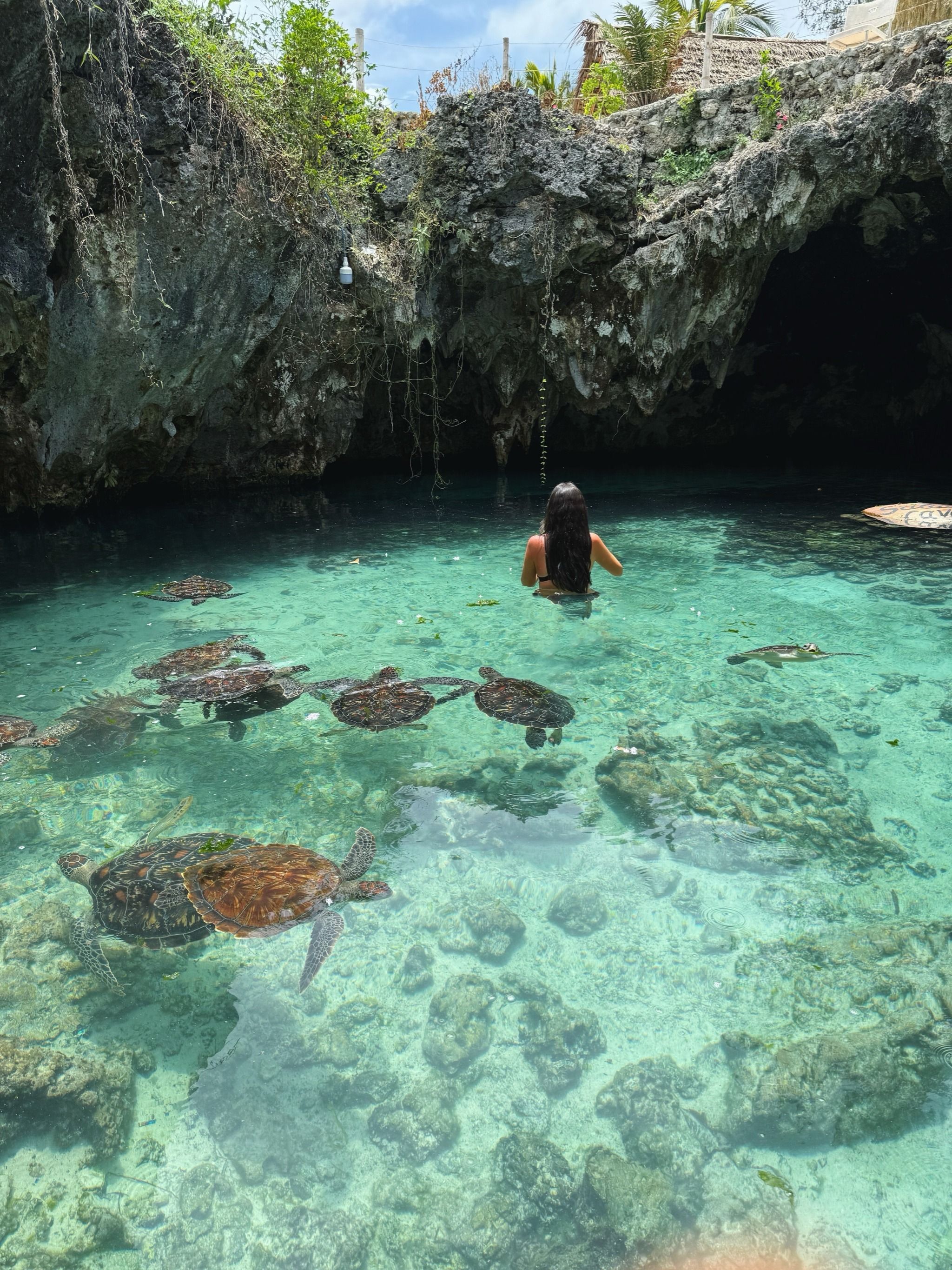 Salaam Cave Aquarium