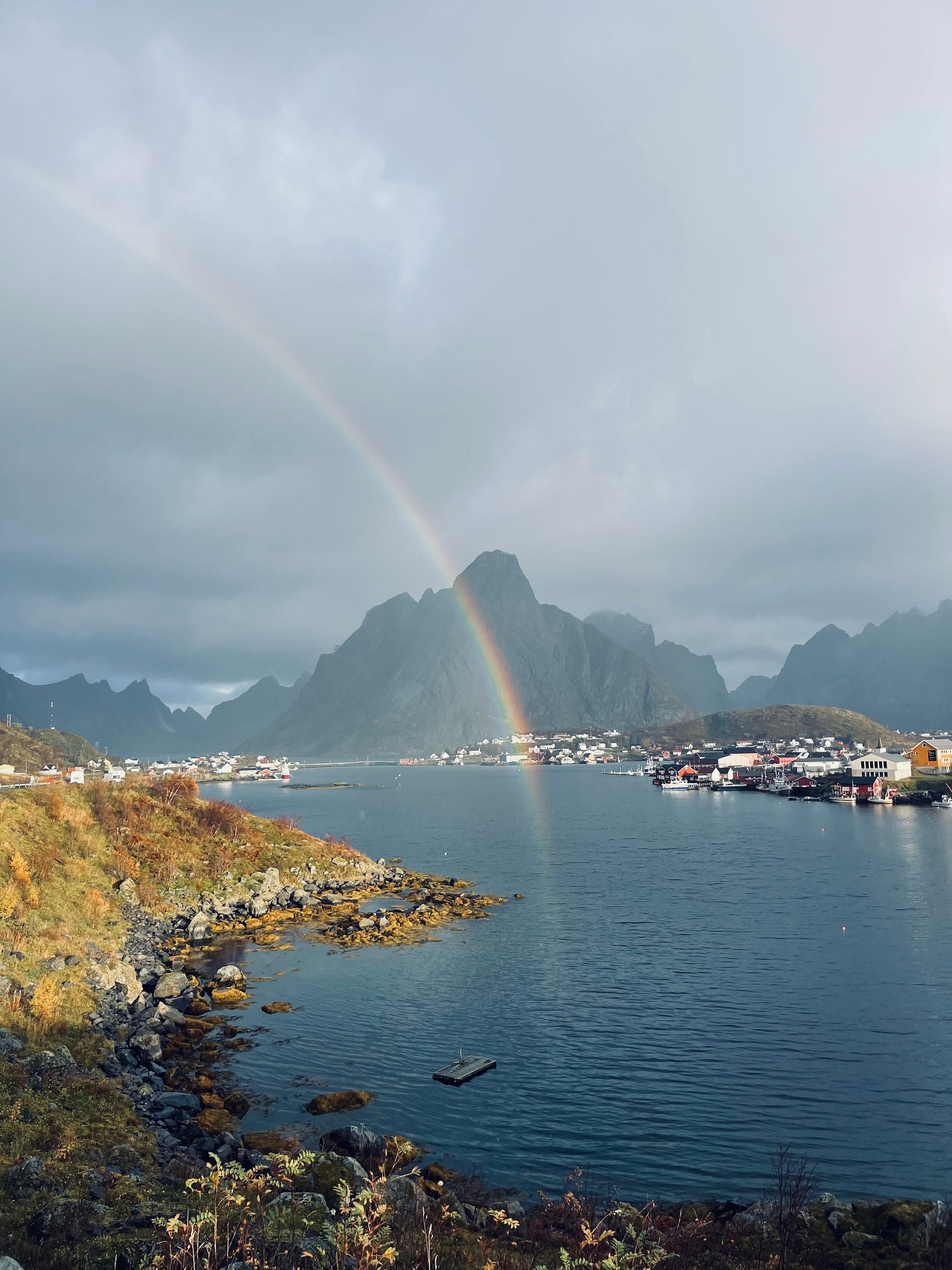 Reine