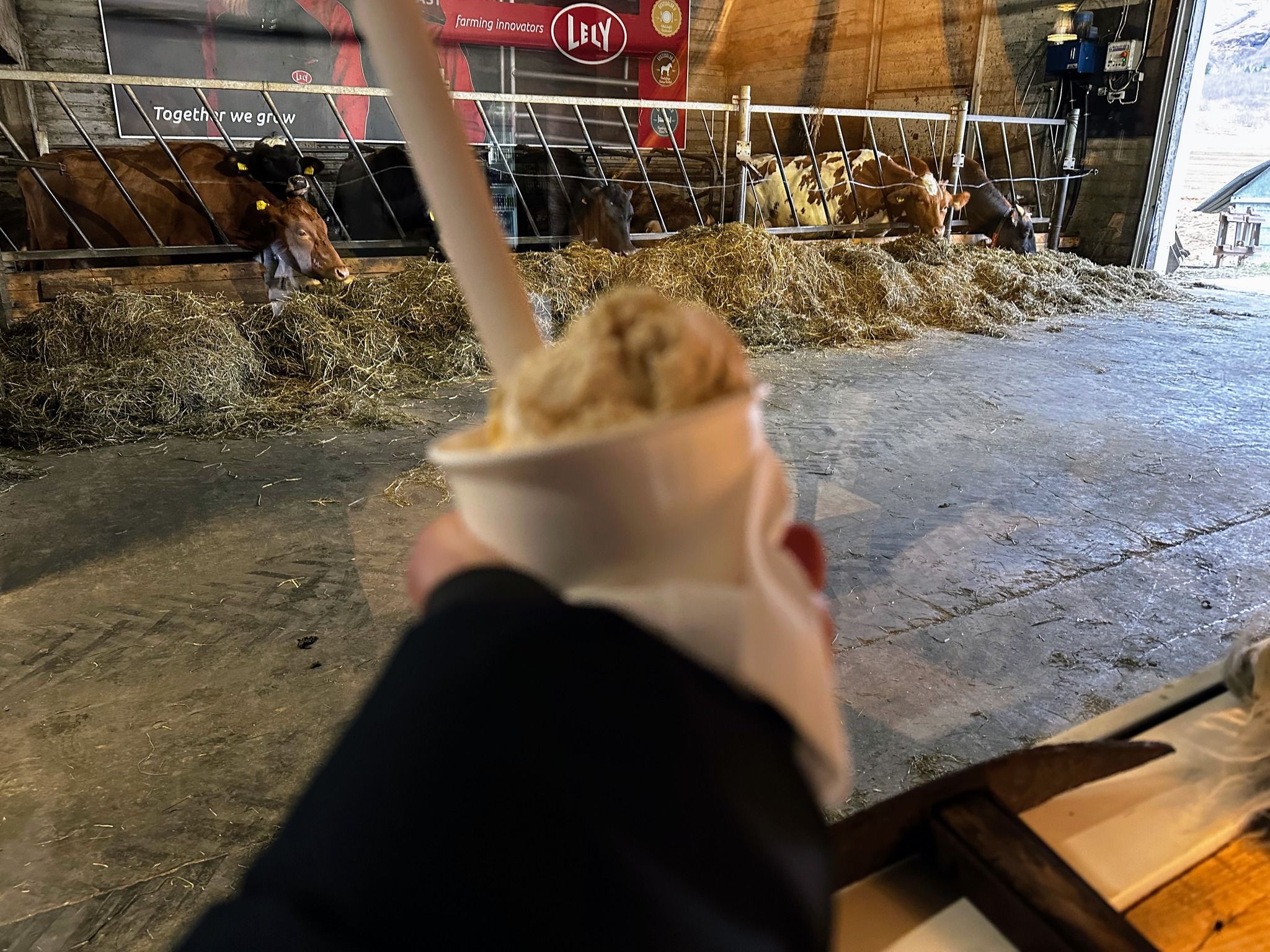 Efstidalur II Ice Cream Farm / Restaurant / Guesthouse