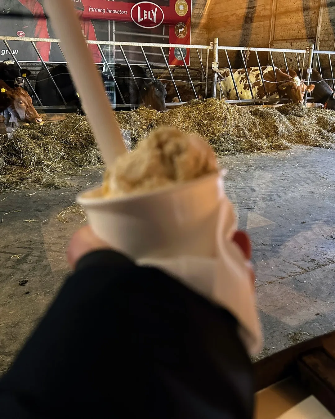 Efstidalur II Ice Cream Farm / Restaurant / Guesthouse