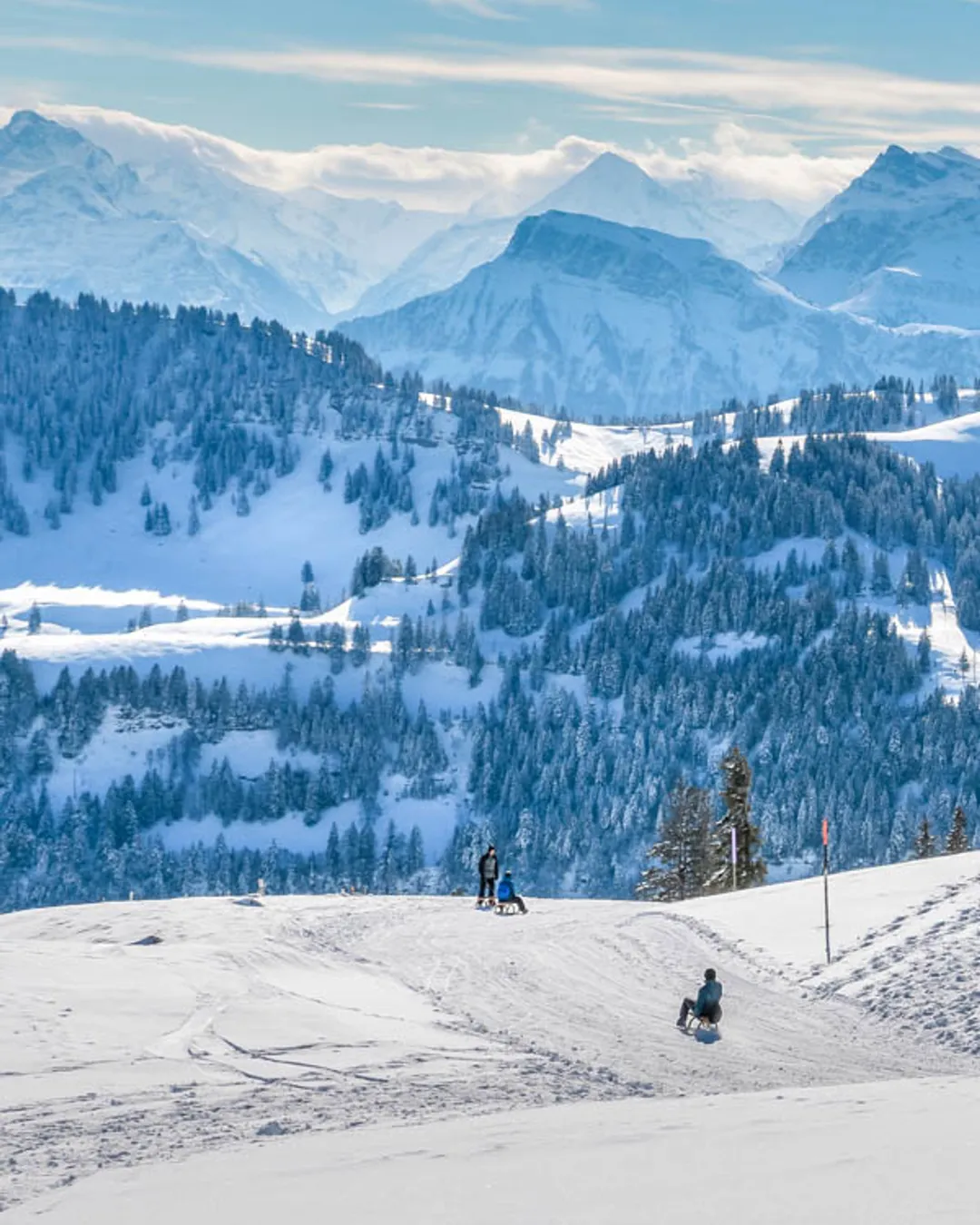 Mt Rigi Sledding