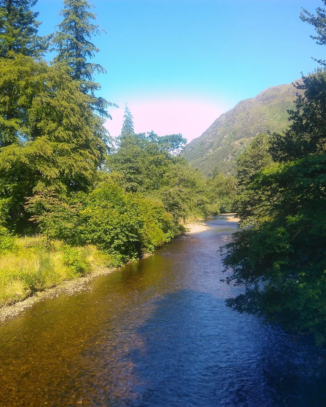 Benmore Botanic Garden