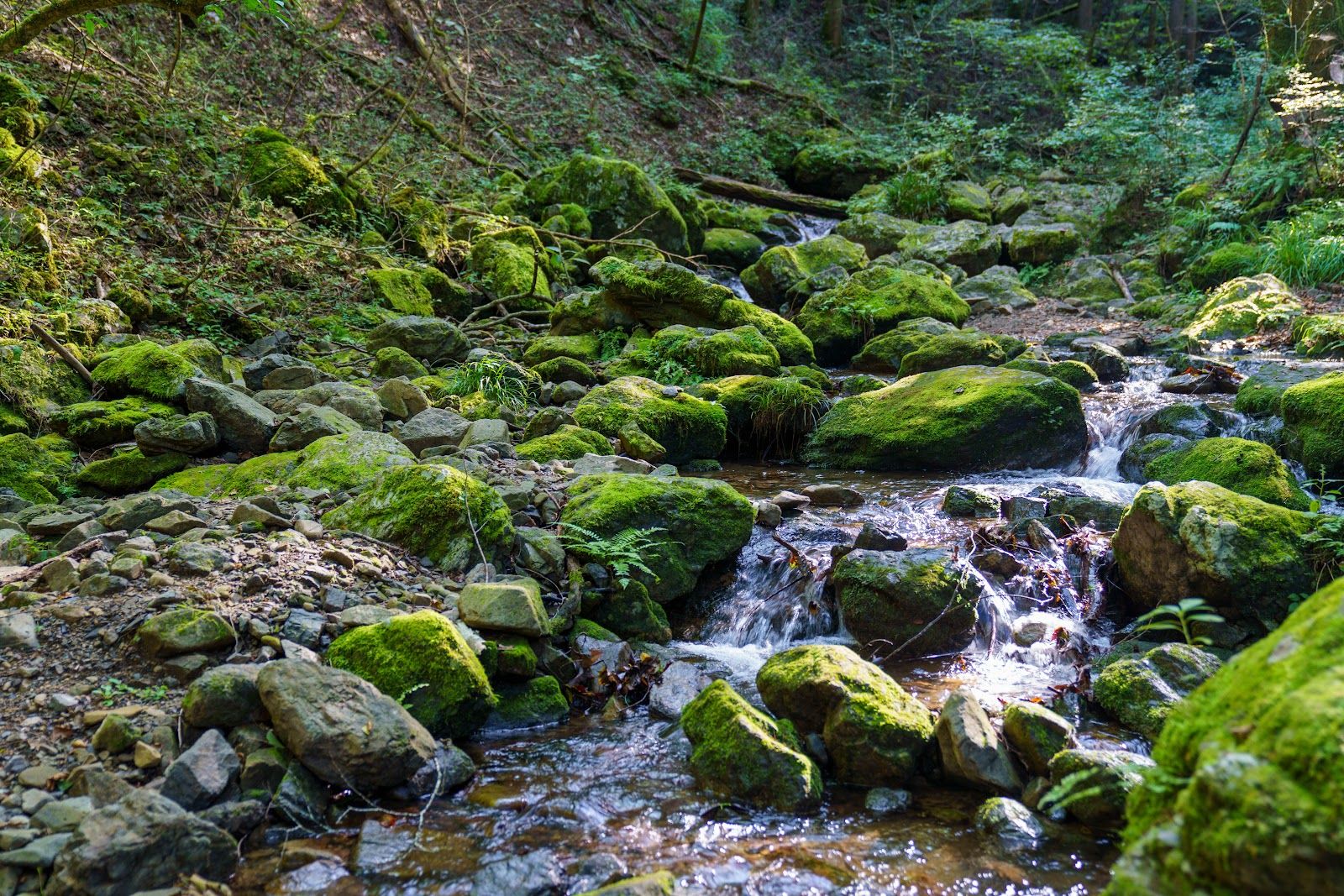 Mitake Rock Garden - Rural Travels, Japan - Rexby