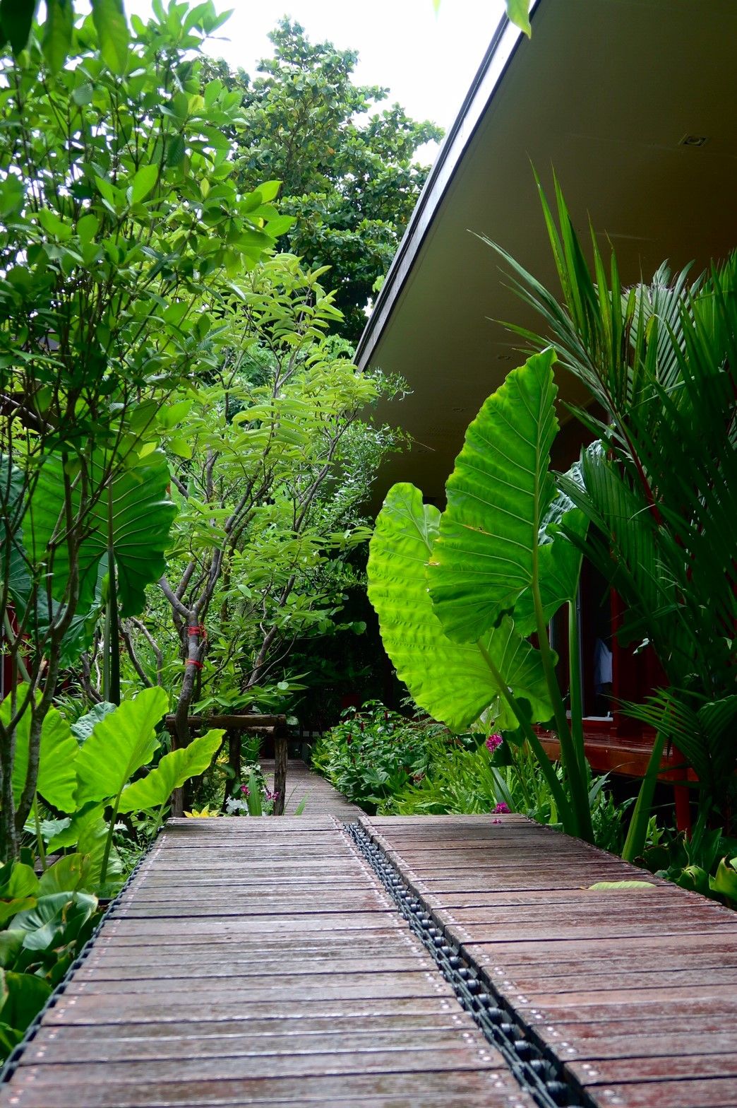 88 Homestay บางกระเจ้า