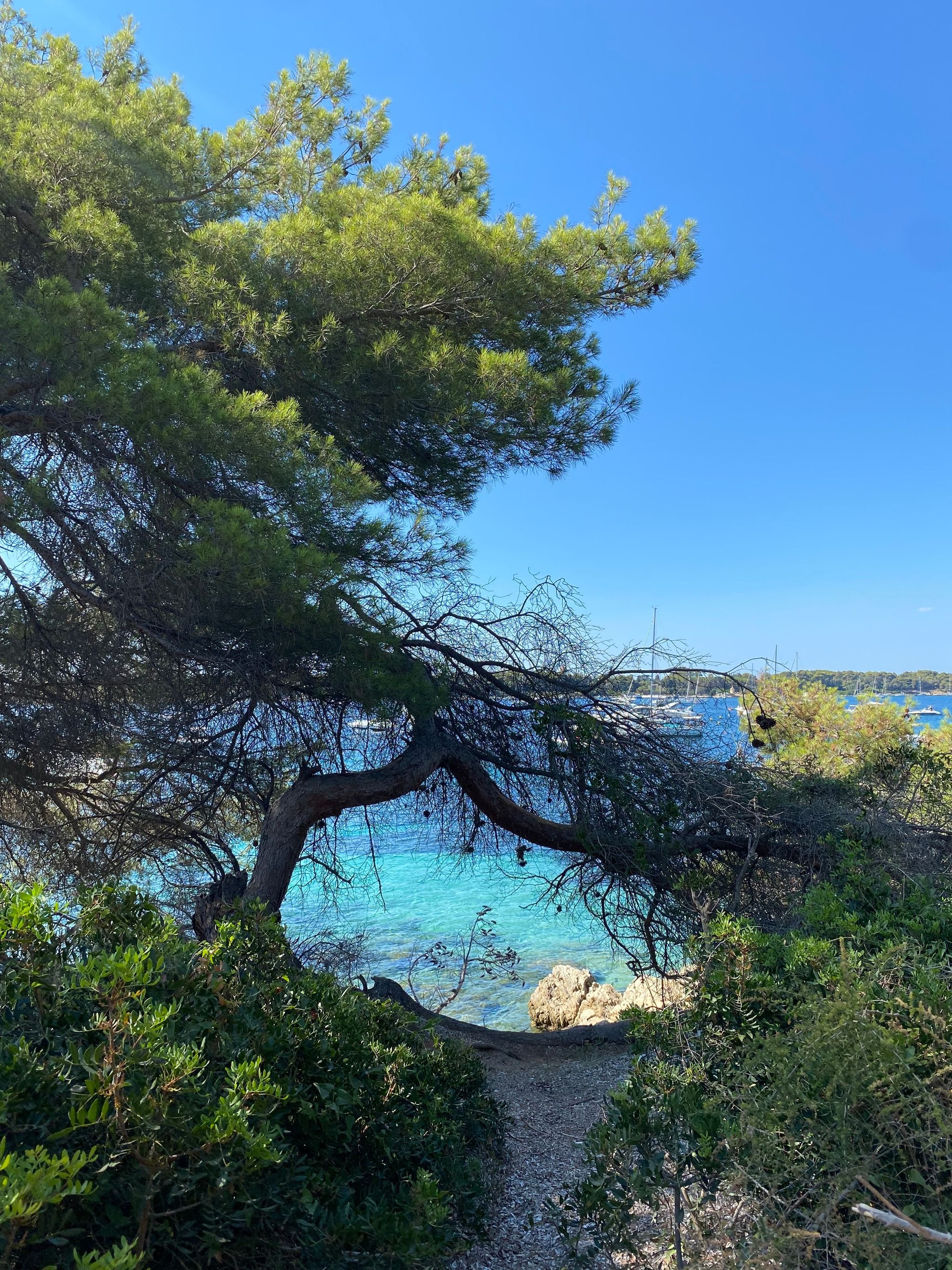 Île Sainte-Marguerite