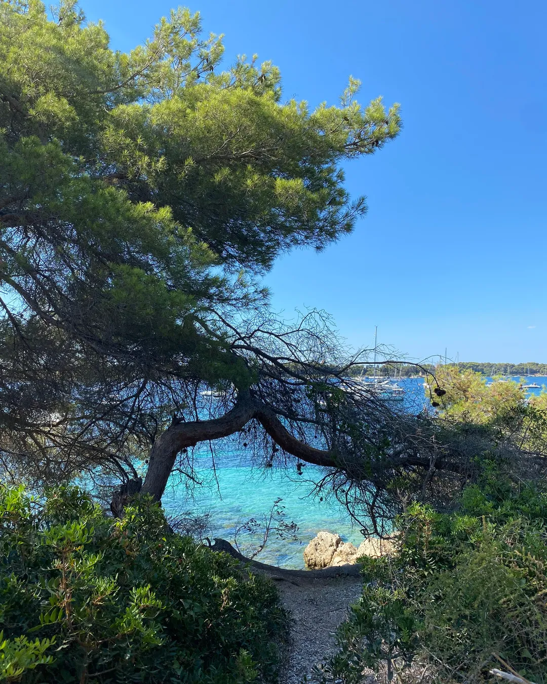 Île Sainte-Marguerite