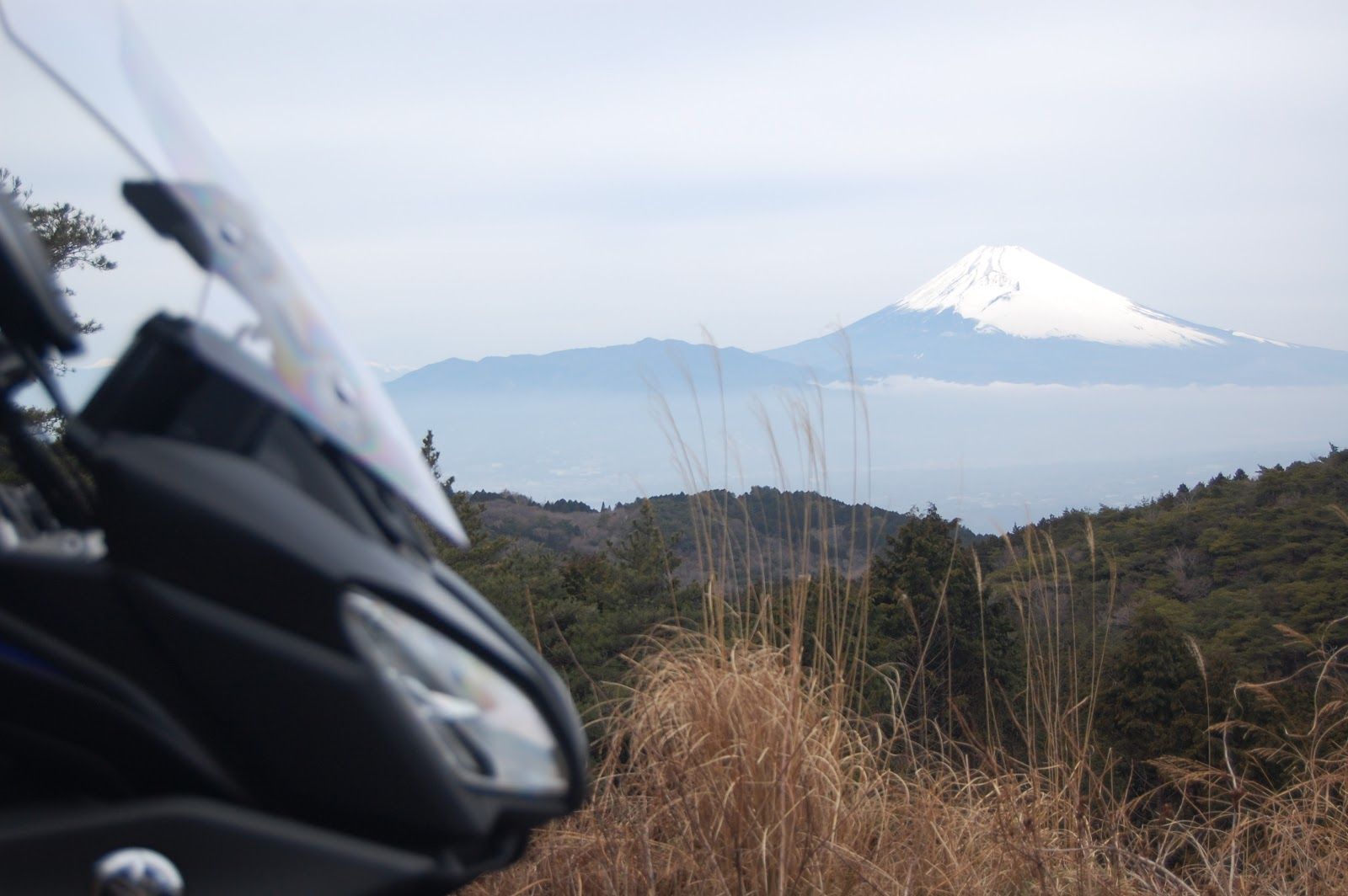 Izu Sky Line - Rural Travels, Japan - Rexby
