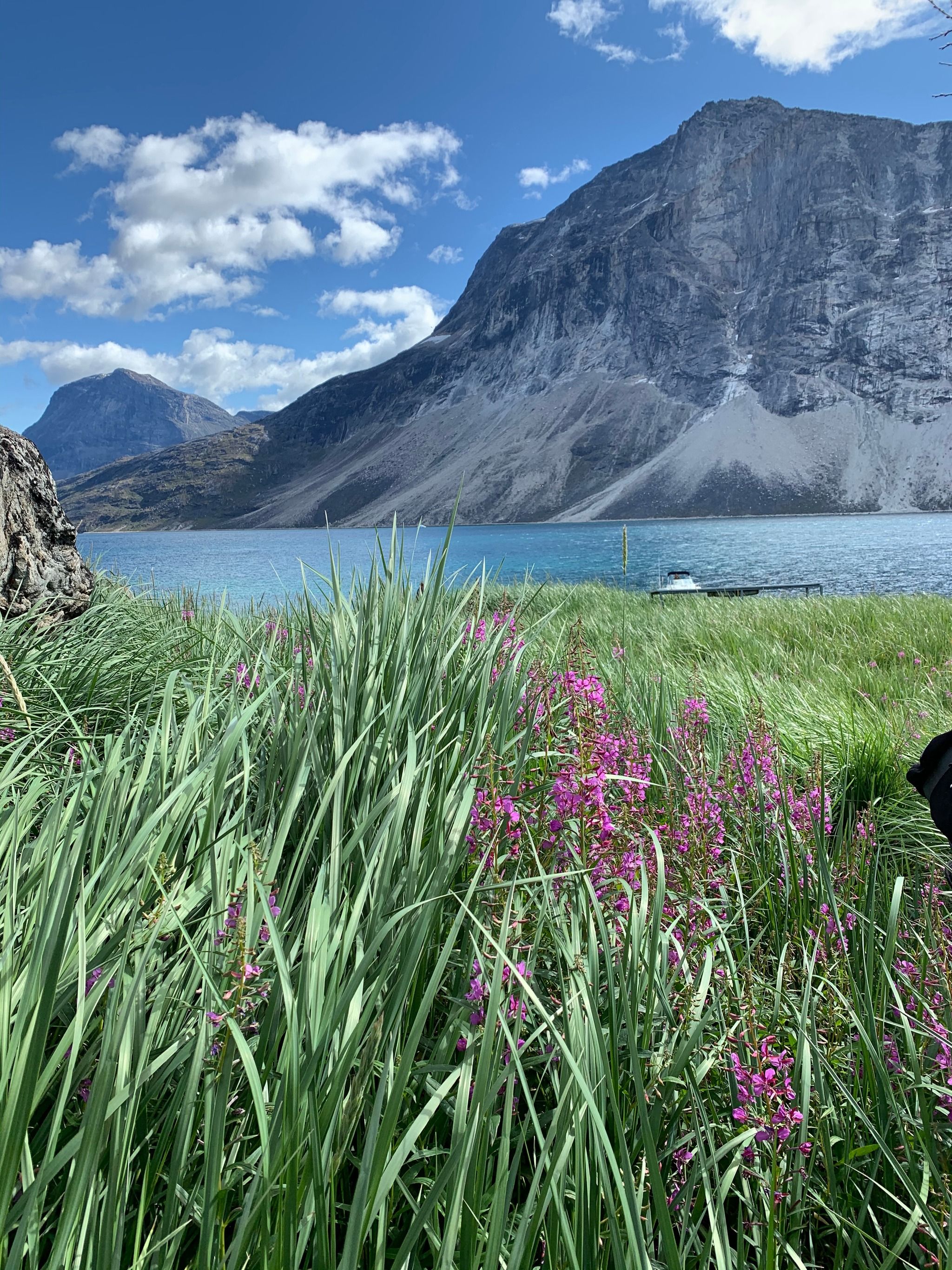 Qooquut music festival 