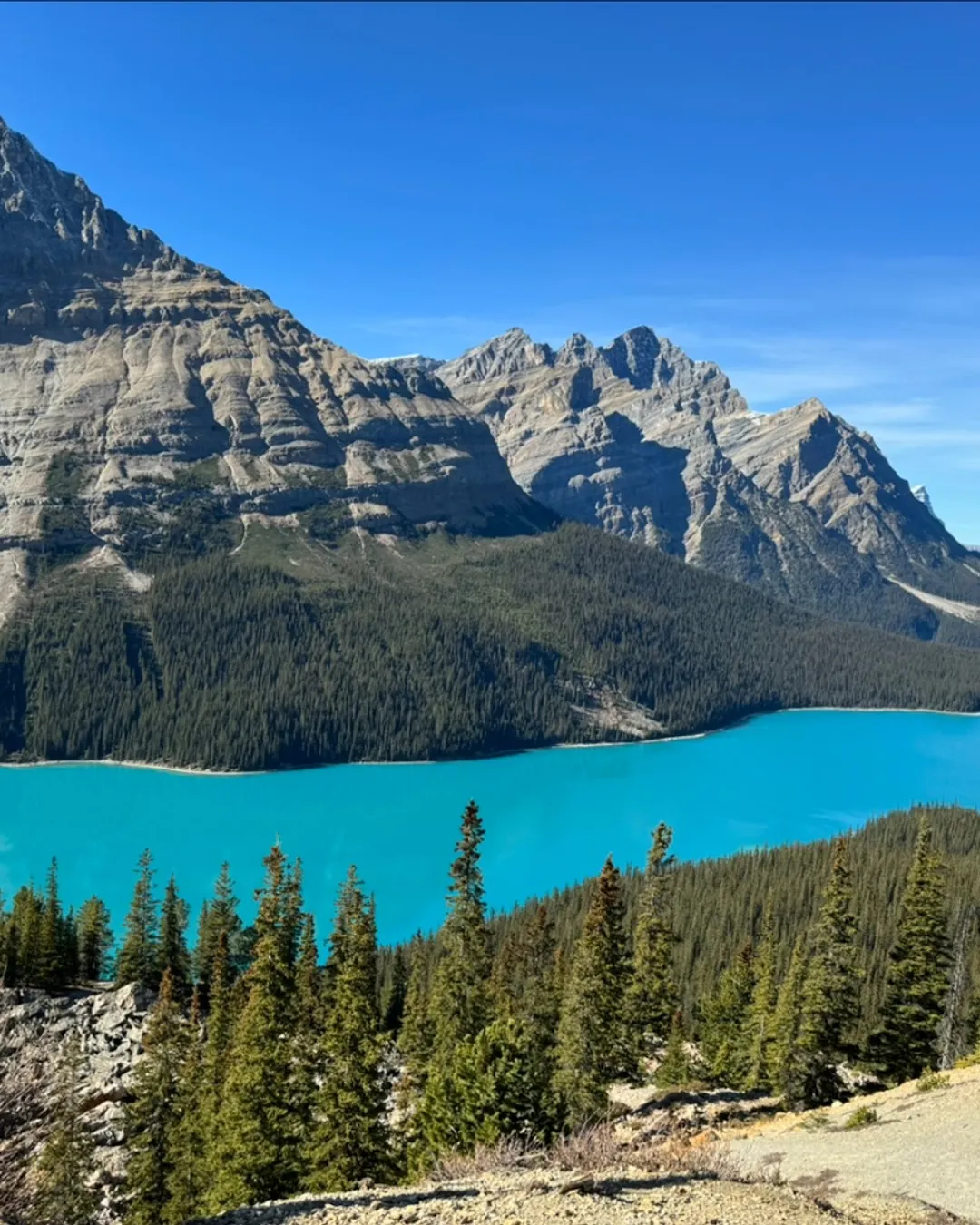Peyto Lake
