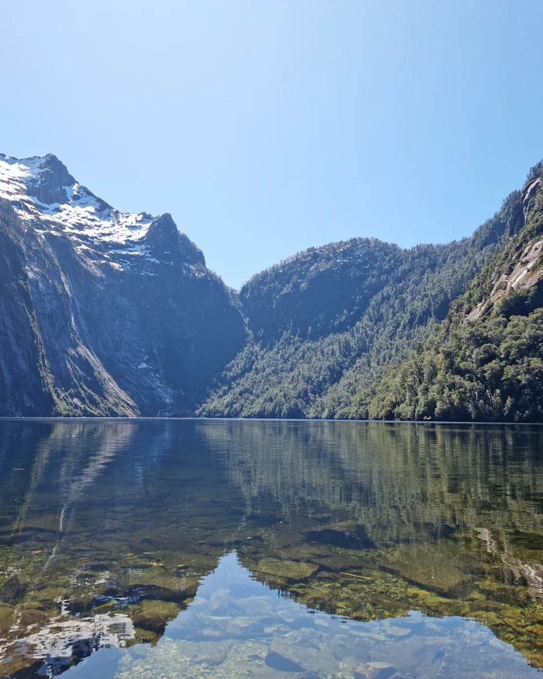 Parque Nacional Alerce Andino