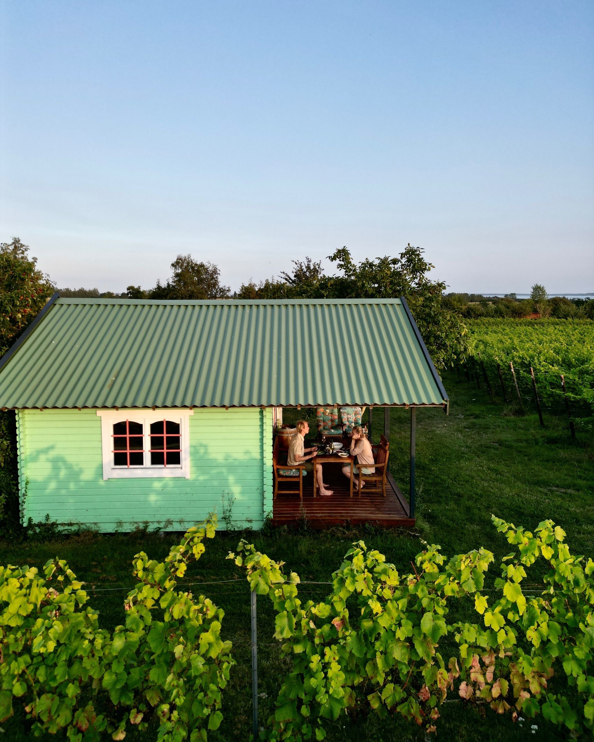 Hideaway Vineyard 
