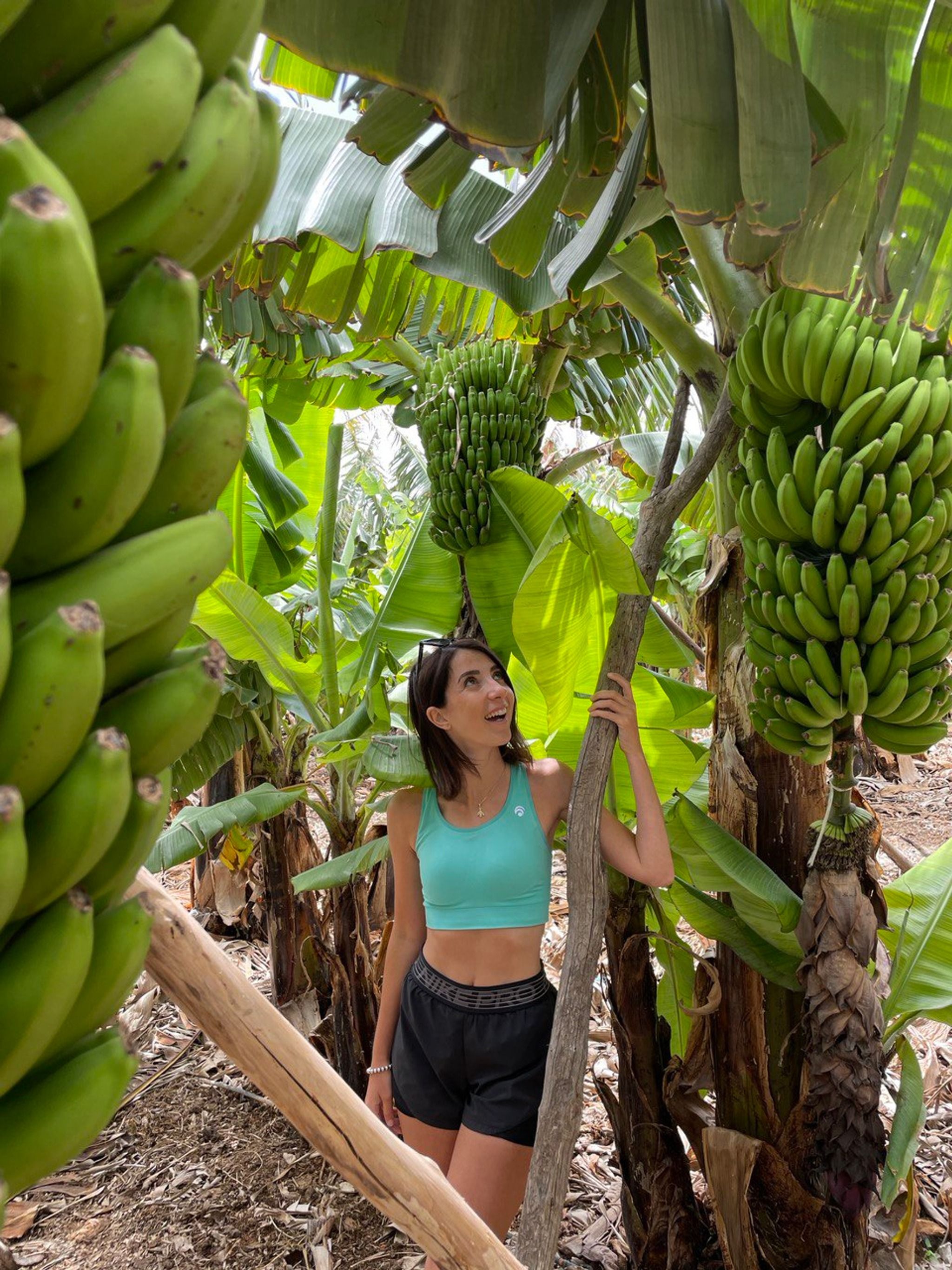 Bananeti a Gran Canaria